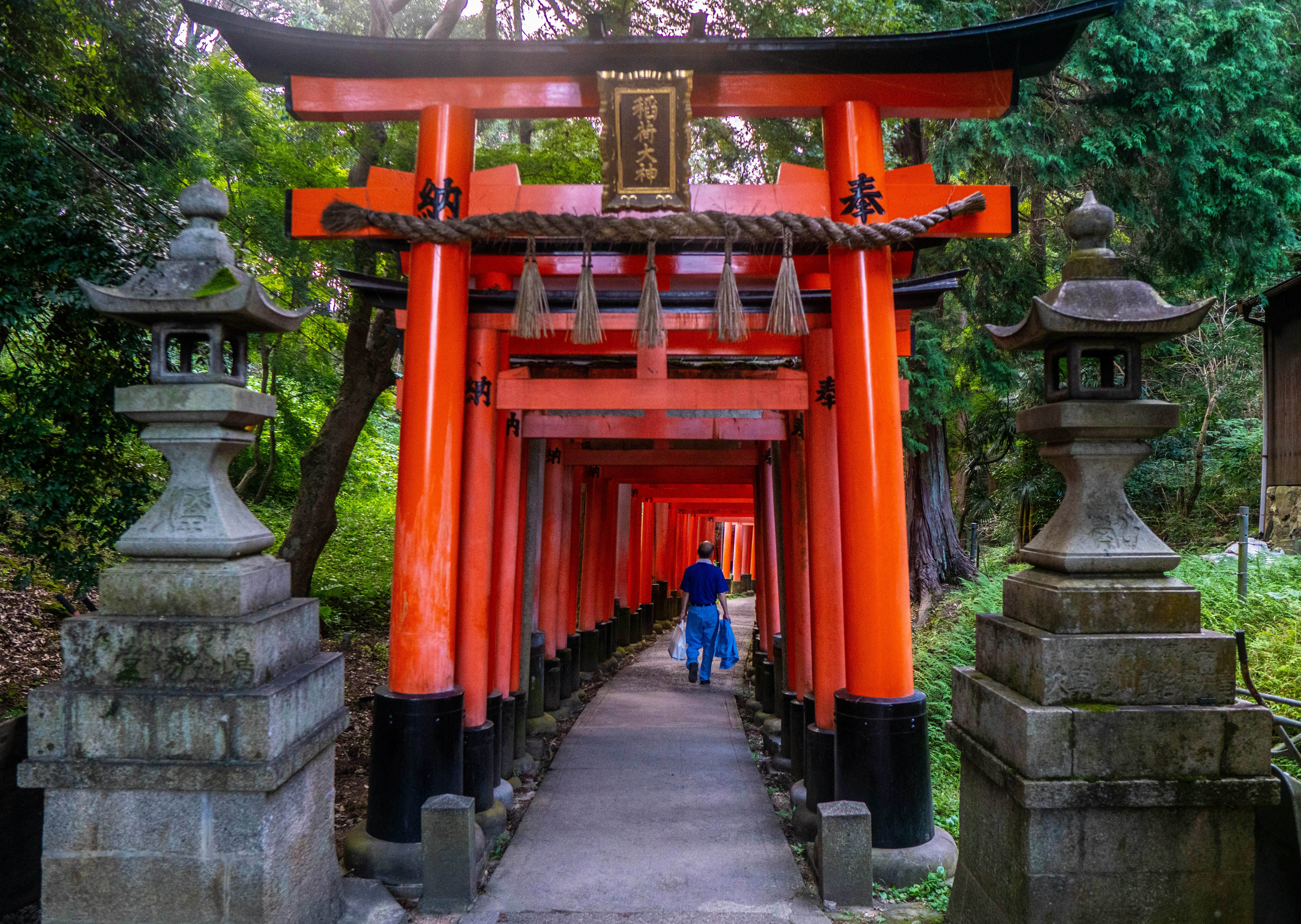 Traditional wooden townhouses in Gion at dusk with paper lanterns