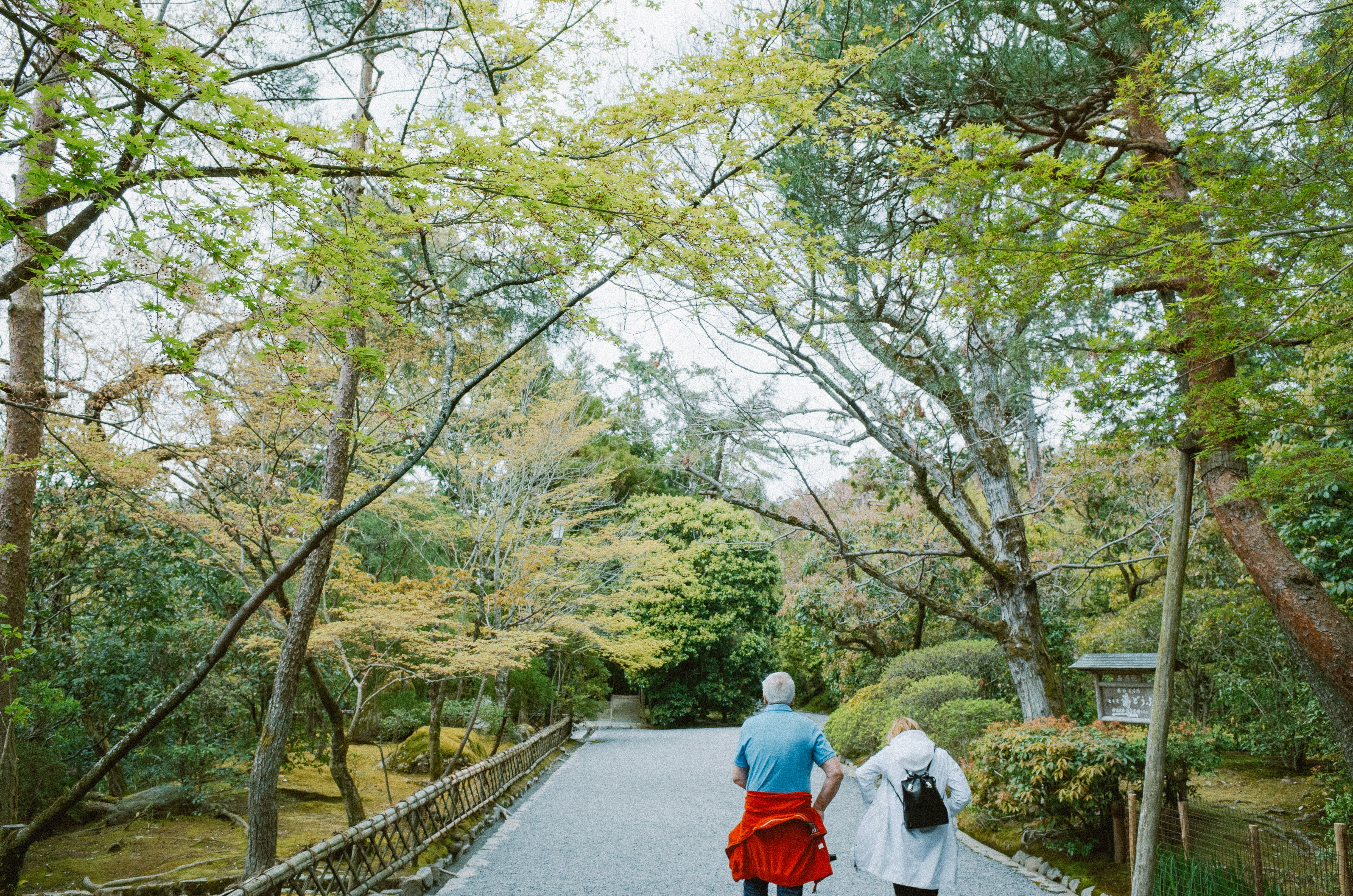 The dry rock garden at Ryoan-ji temple with raked white gravel